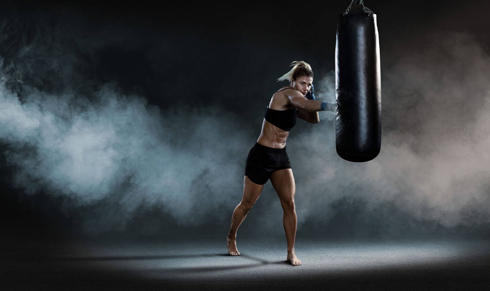 Imagebild Boxerin Brisoft AG