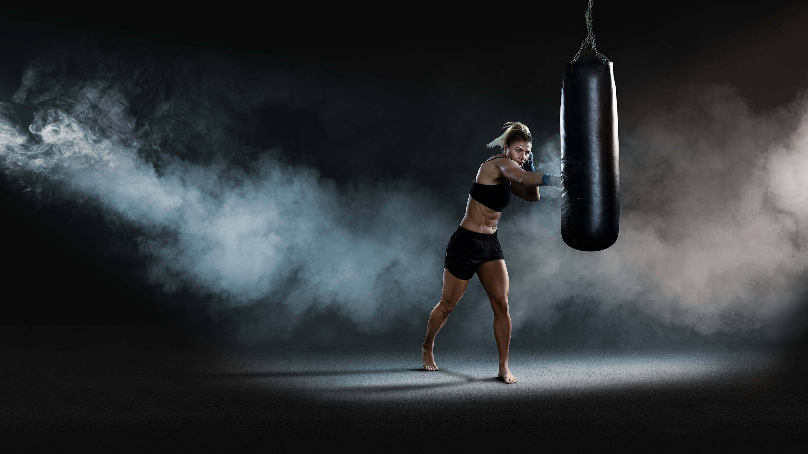 Imagebild Boxerin Brisoft AG